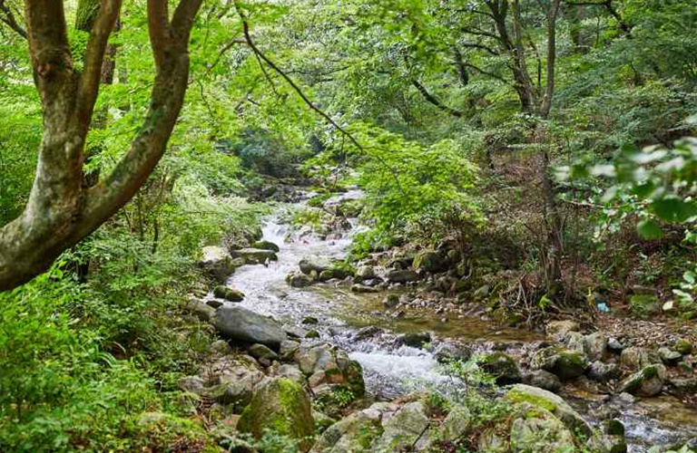 모악산도립공원