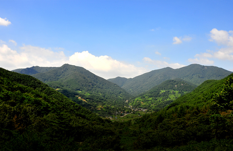 회문산