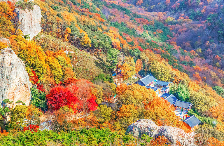 선운산도립공원