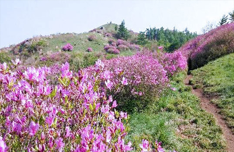 바래봉
