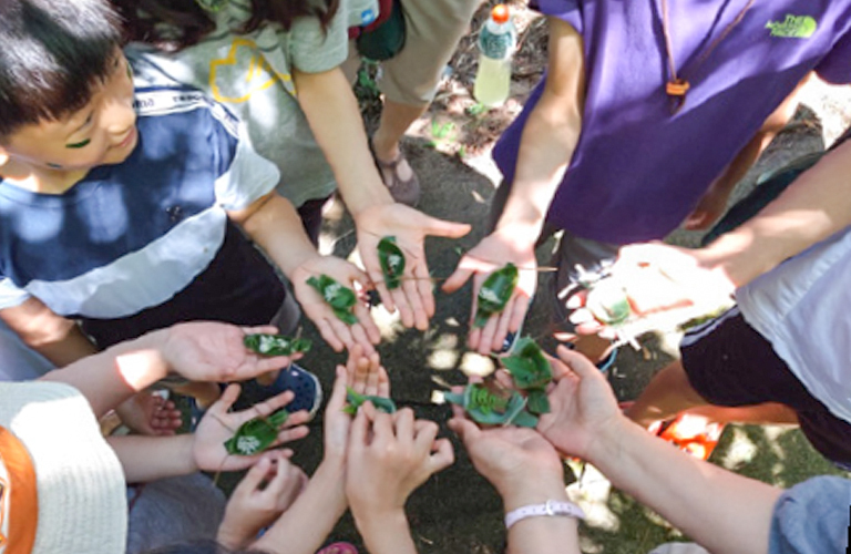 An invitation to Eco Healing