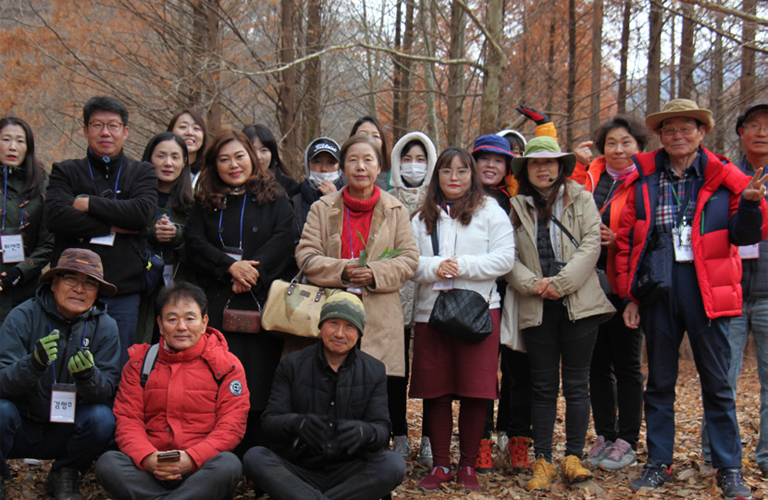 The stroy of eco forest with the king