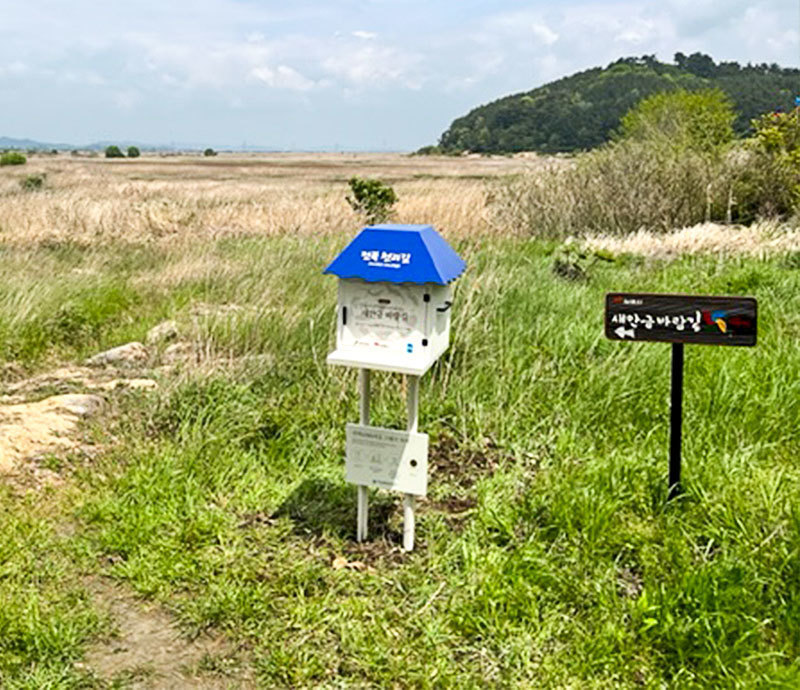 전선포