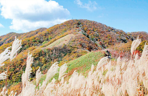 장수(장안산) 마실길