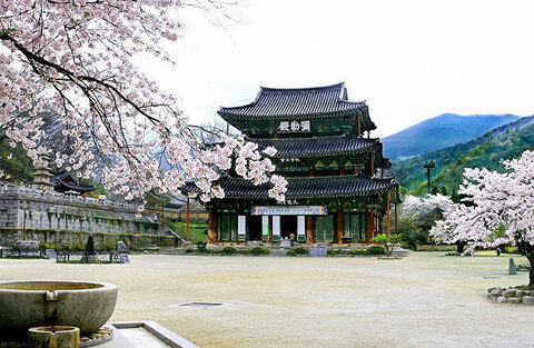 김제 금산사길