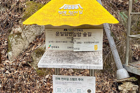 무지개 다리 건너편